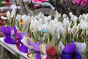 Street flower trade. Selective focus background and copy space for text