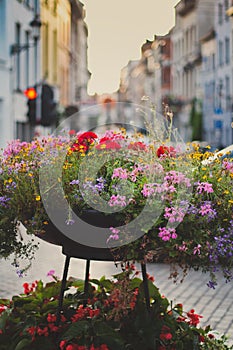 Street flowers