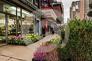 Street Flowers at Chelsea Flower Market - New York City