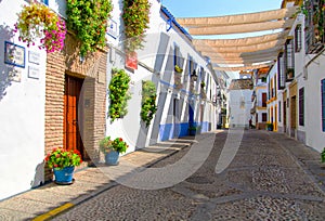 Street with flowers in Cordoba (Calleja de las Flores) photo