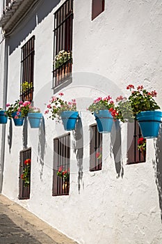 Street with flowers in the Mijas town, Spain