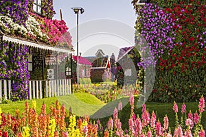 Street of flowers in the Miracle Garden park, Dubai