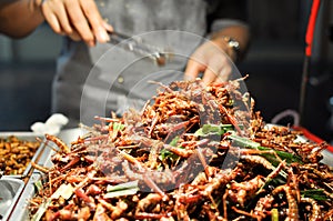 Street food - fried grasshoppers