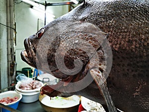 The street food in the night market in Bangkok selling fresh seafood fish and boil rice