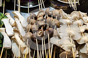 Street food stall with mushroom on sticks, different types - porcini, champignon, Oyster.