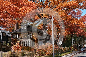 Street with glorious fall colors