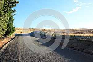 Street and grassland in canterbury, new zealand