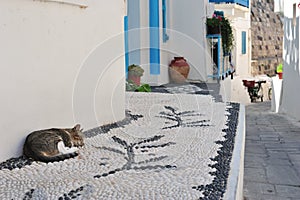 Street in Greek town Mandraki