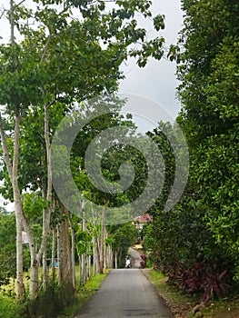 A street in Gunung Perak Village photo