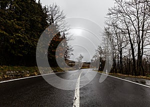 Down the street on the mountain - Toscany - Italy