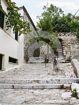 street in historical neighborhood Plaka in Athens