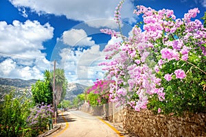 Street in Kefalonia photo