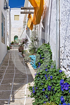 Street in Kimolos island, Cyclades, Greece photo