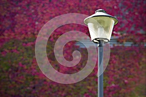 Street lamp