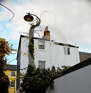 Street lamp in Brighton UK