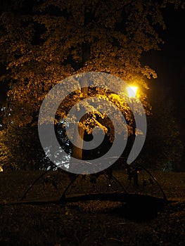 Street lamp at dusk.