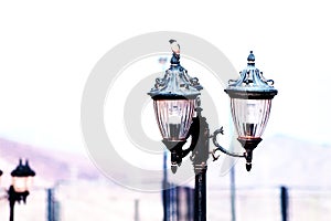 Urban landscape. Street lamp. photo