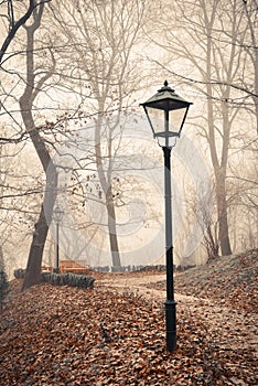 Street lamp in misty autumn forest park
