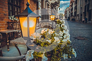 Street lamp at night and flowers