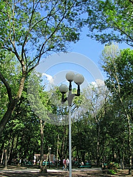 Street lamp in park