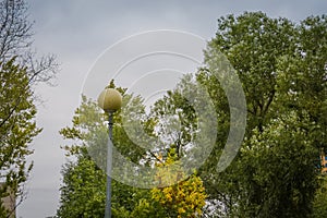 Street Lamp in the Park