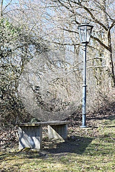 street lamp and park bench in spring forest