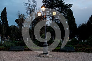 Street lamp in the park by night