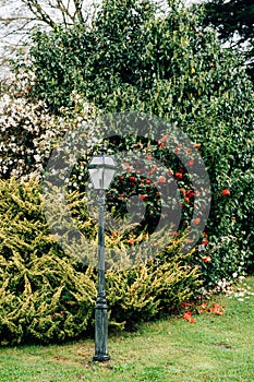 Street lamp on a pole in the garden on the grass with trees and bushes with red and white flowers.