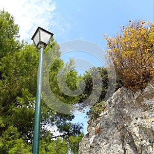 Street lamp and wild vegetation on Skiathos island