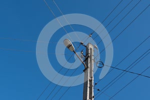 Street lamppost with wires. Street lamp with a bird