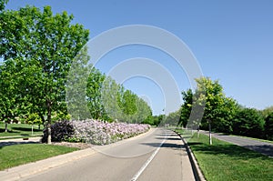 Street With Landscaped Median