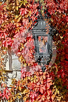 Street Lantern, Peles Castle, Sinaia, Romania