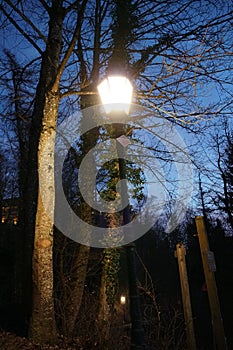 Street lantern with a shield marking hiking trail. The lantern is among trees on the way to Uetliberg Mountain Zurich Switzerland