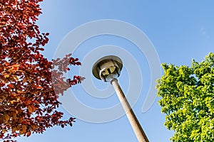 Street light of the ancient GDR in Berlin Marzahn, Germany