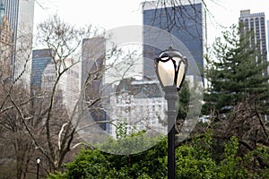 Street Light at Central Park with a Midtown Manhattan Skyline View in the Background in New York City