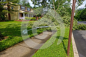 A street light laying on the grass in front of a house after being knocked down by a fallen tree during a wind storm