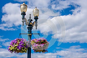 Street Light wth a flower basket