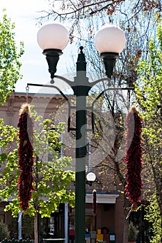 Street lights and chile ristras in spring on the Plaza in Santa Fe, New Mexico, USA