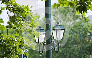 Street lights - old vintage look green colur with trees in background