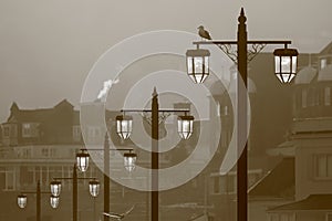 Street lights in town of Sidmouth