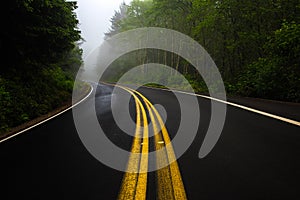 Street Lines Curving Into Misty Forest In Oregon