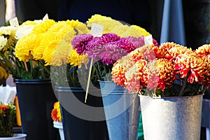 Street market selling flowers