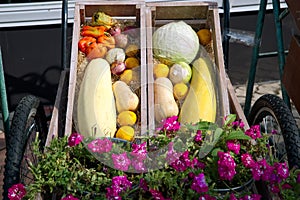 Street market with vegetables and fruits