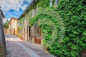 In the street of the medieval village Ternand in France