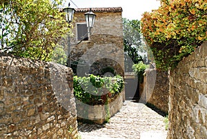 Street in Motovun