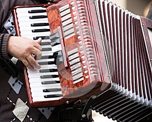 Street musician photo