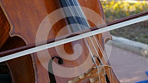 A street musician plays the cello. Shot close-up. 4k.