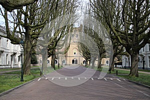 Street named Sophialaan with very special growed trees ending at the former royal horse place of king Willem II.