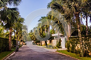 Street near Las Terrenas, Dominican Republ