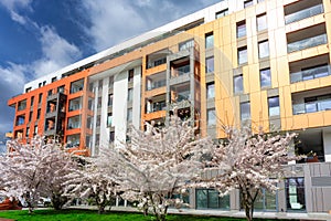 Street with new apartments at sunny day in April. Poland